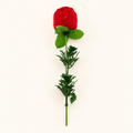 Rose Ring Gift Box